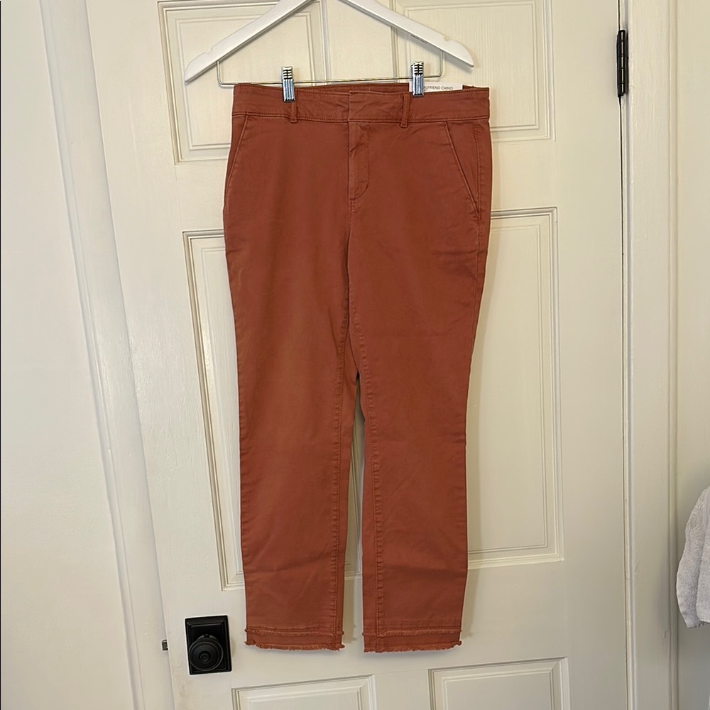 LOFT Rust Chino Pants NWT